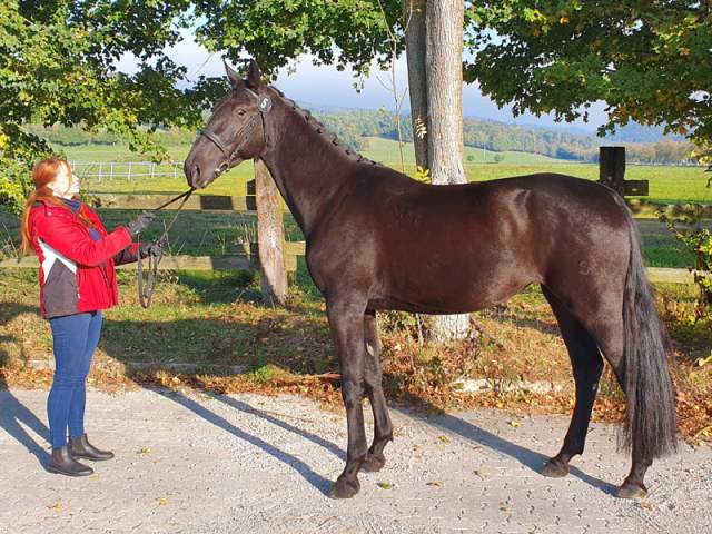 Nonius_XXXVI-6_Waters